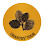 Chanthy Tour Logo