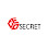 CEO SECRET Logo