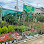 Kim Thavy Landscape Garden Logo