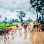 ភូមិដូនតី ឃុំស្រង់ ស្រុកគងពិសី ខេត្តកំពង់ស្ពឺ Logo