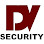DV Security Logo