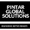 Pintar Global Solutions Logo