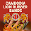 Lion Rubber Band Enterprise Logo