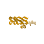 Anonn Photo STUDIO Logo