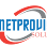 Netprovision Solutions Logo