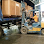SHUN SHUN TRANSPORT LOGISTIC SDN.BHD. Logo