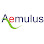 Aemulus Base Logo