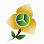 Larryta Head Office Logo