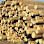 Sinaran Wira Sawmill Malaysia Logo