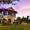 The Yellow Villa Logo