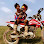 SEANG MOTORBIKE MECHANIC & Rental Service Logo