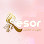 Kesor Salon & Spa Logo