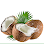 P&T Fresh Santan Logo