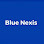 BlueNexis.com Logo