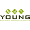 Young Development Research & Consulting - Market Research, Business & Development Consultant Logo