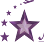 Nelin Star Tour & Travel Logo