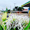 Depot TELA Kev Chanphalla Logo
