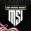 MSI GROUP CONSULTANCY Logo