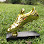 RIZAL TROPHY SDN BHD Logo