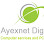 Ayexnet - IT SERVICES Logo