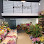 Mini Florist Logo