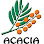 Acacia Pulp & Paper (M) Sdn. Bhd.