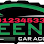 Green car Logo