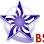 Bright Star Precision Technology Logo