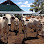 Vinita Farm Logo