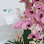 Must Bookkeeping Sdn Bhd Logo
