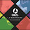 BRAM EXPRESS SERVICES Logo
