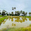 ស្រះទឹក​ លោកតាវឺន​ លោកយាយប៊ុន Logo