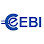 EBI - POS System Software Supplier , Point Of Sale System Company Logo