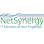 Netsynergy Solutions SDN BHD Logo