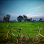 The Adventure Bike Logo