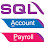 Perfect Plus Solutions Logo