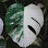 Plants Buddy Logo