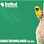 Babui Technologies Sdn. Bhd. Logo