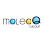 MolecQ Group Logo