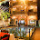 Tropical Breeze Guesthouse Logo