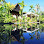 Petit Villa Boutique & Spa Logo