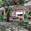 JUNGLE HOUSE KEP Logo