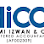 Hilmi Izwan & Co Logo