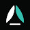 Saltycustoms.com Logo