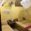Manel Guesthouse and Restaurant Logo