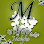 Molyka Lodge Logo