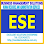 Excellent Solutions Enterprise Logo