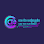 Cam Tech Electronics Logo