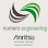 Numero Engineering Sdn. Bhd. Logo