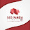 Red Panda Logo